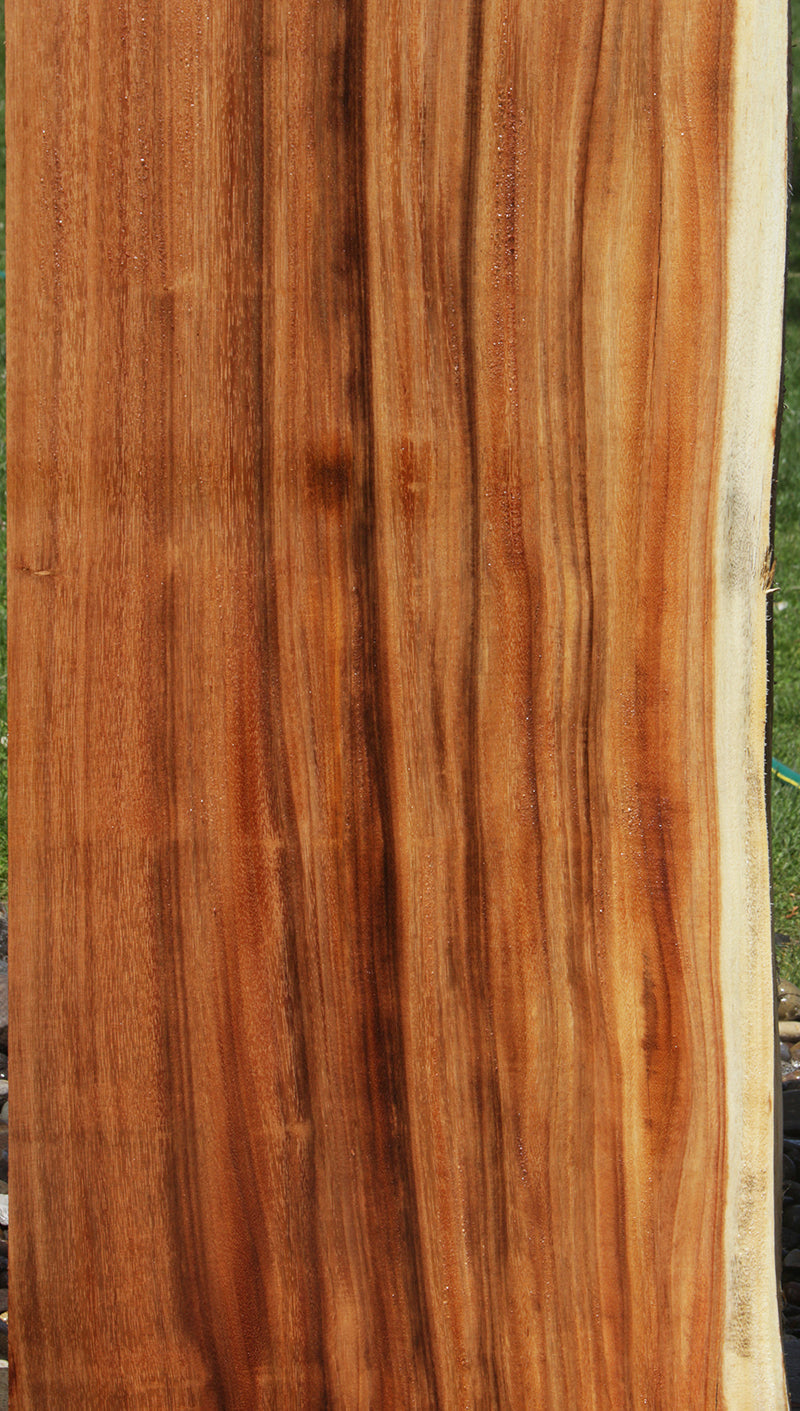 Rustic Monkeypod Live Edge Slab