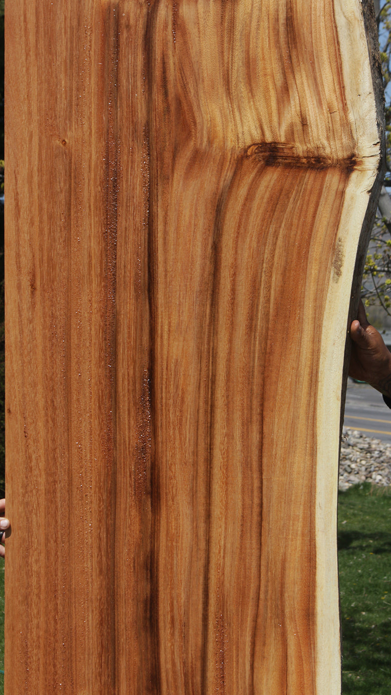 Rustic Monkeypod Live Edge Slab