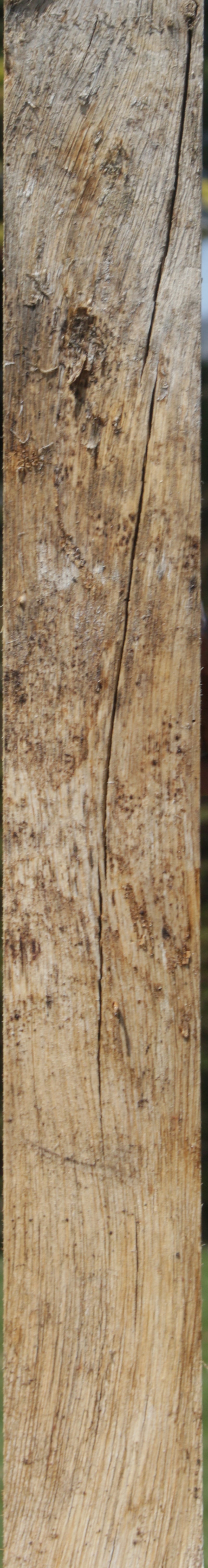 Rustic Monkeypod Live Edge Slab