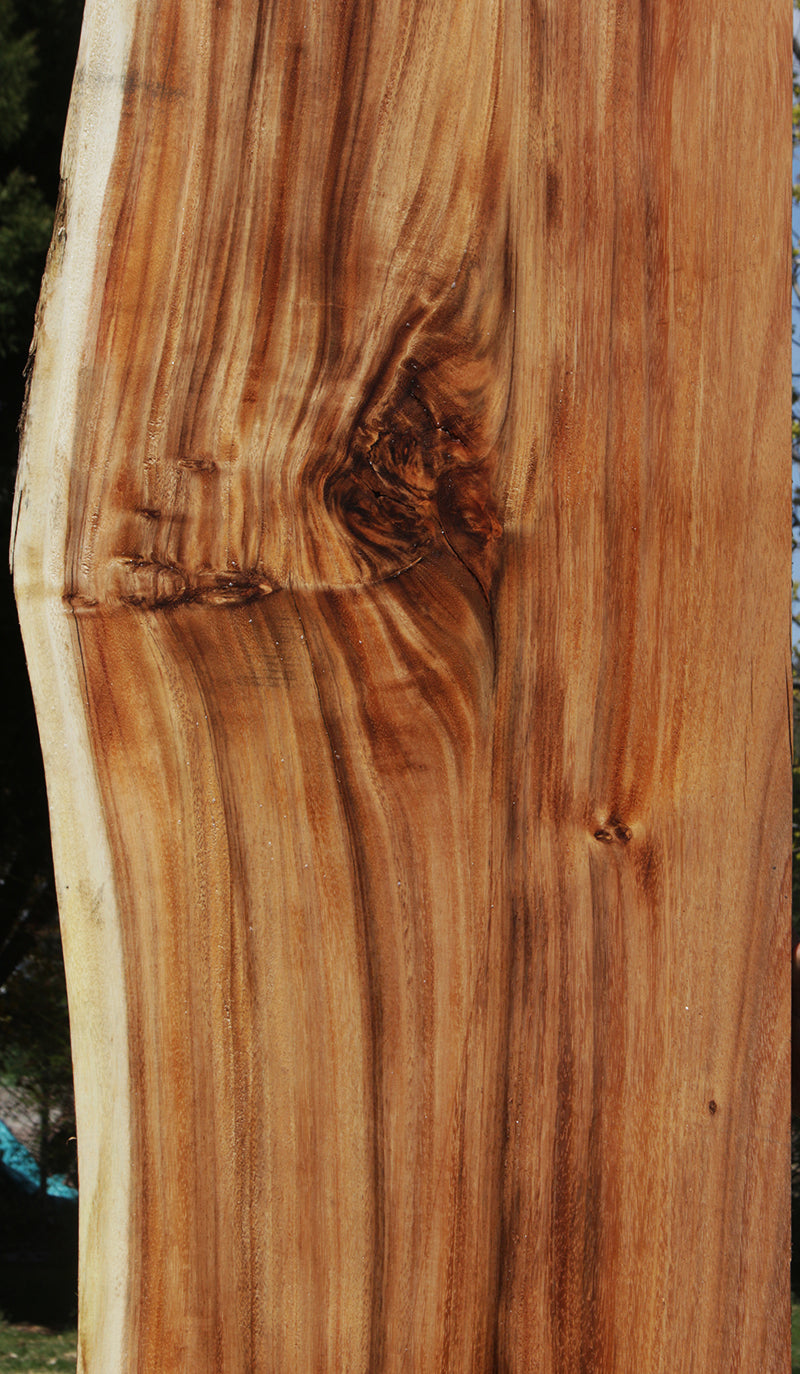 Rustic Monkeypod Live Edge Slab