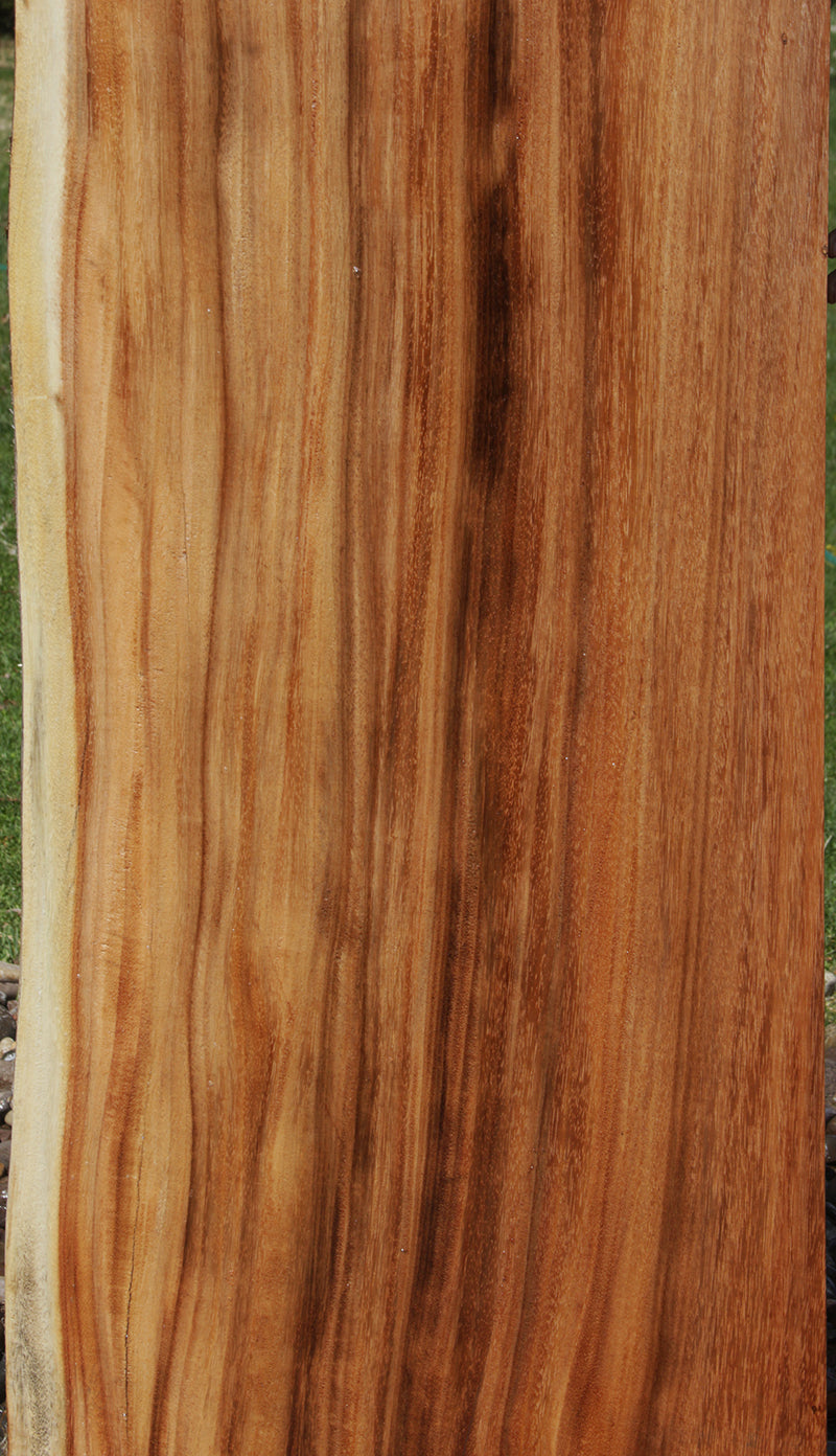 Rustic Monkeypod Live Edge Slab