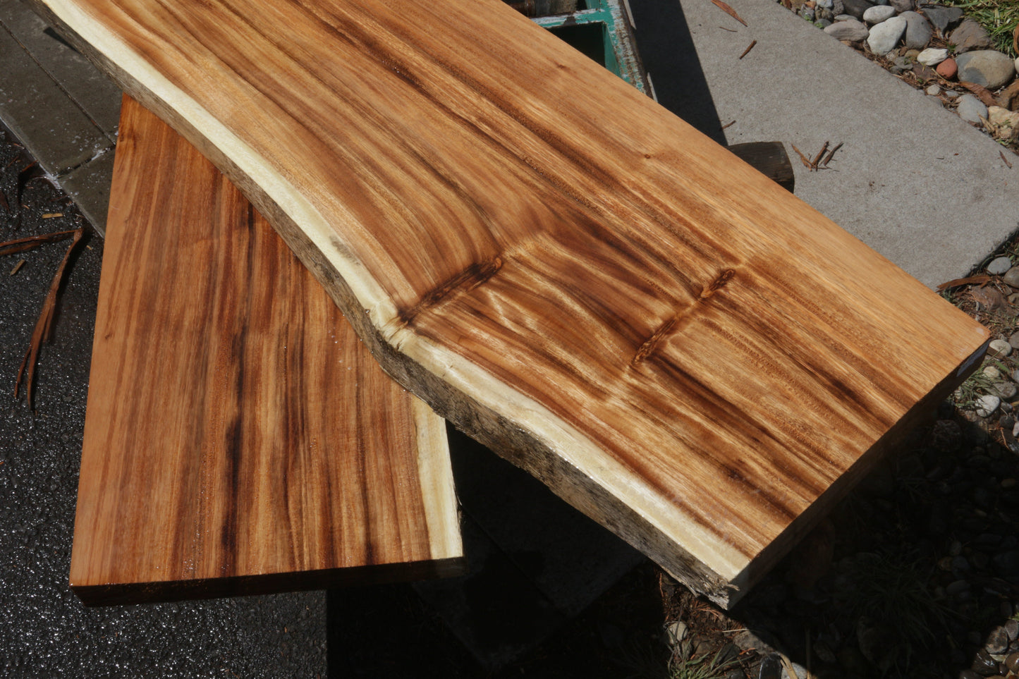 Rustic Monkeypod Live Edge Slab