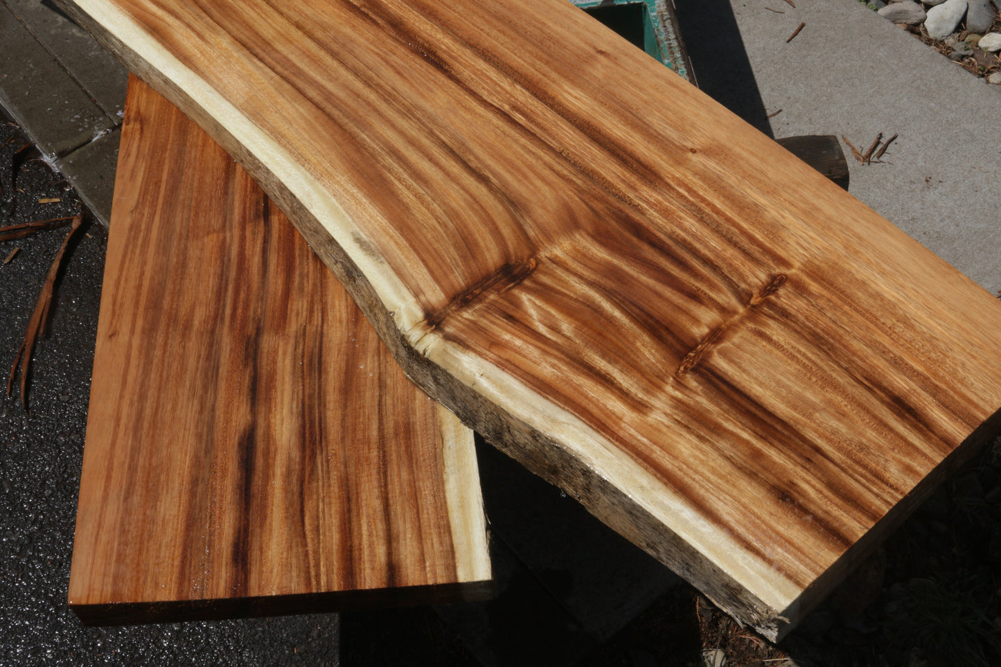 Rustic Monkeypod Live Edge Slab