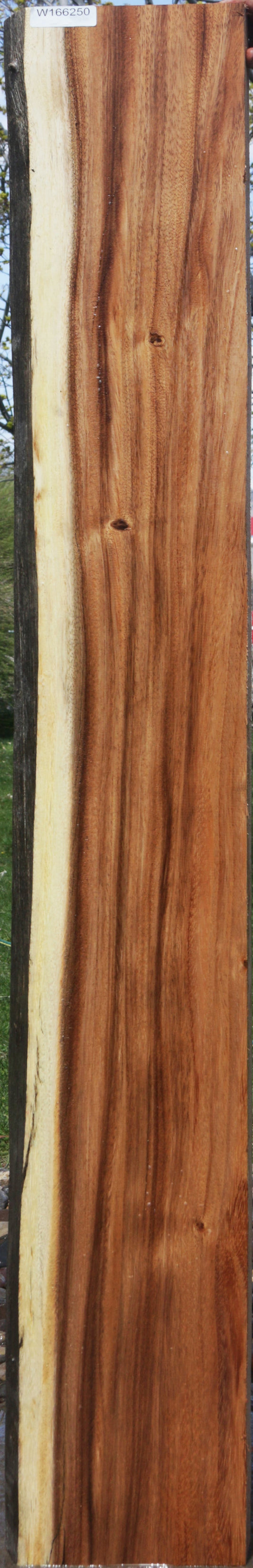 Monkeypod Live Edge Slab