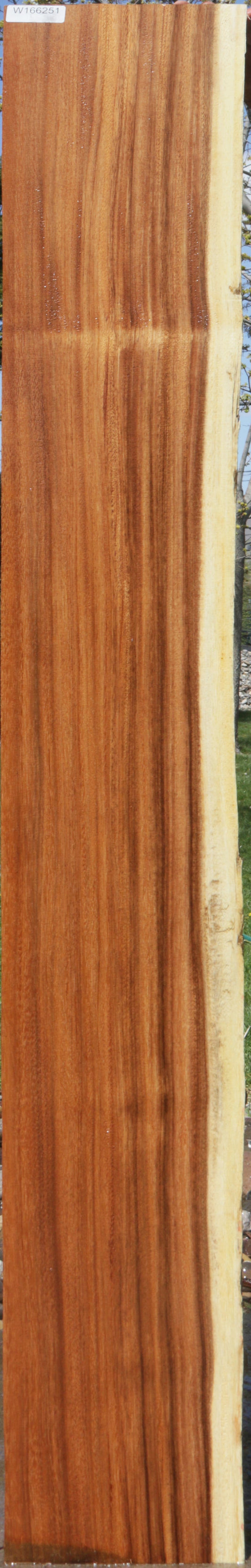 Monkeypod Live Edge Slab