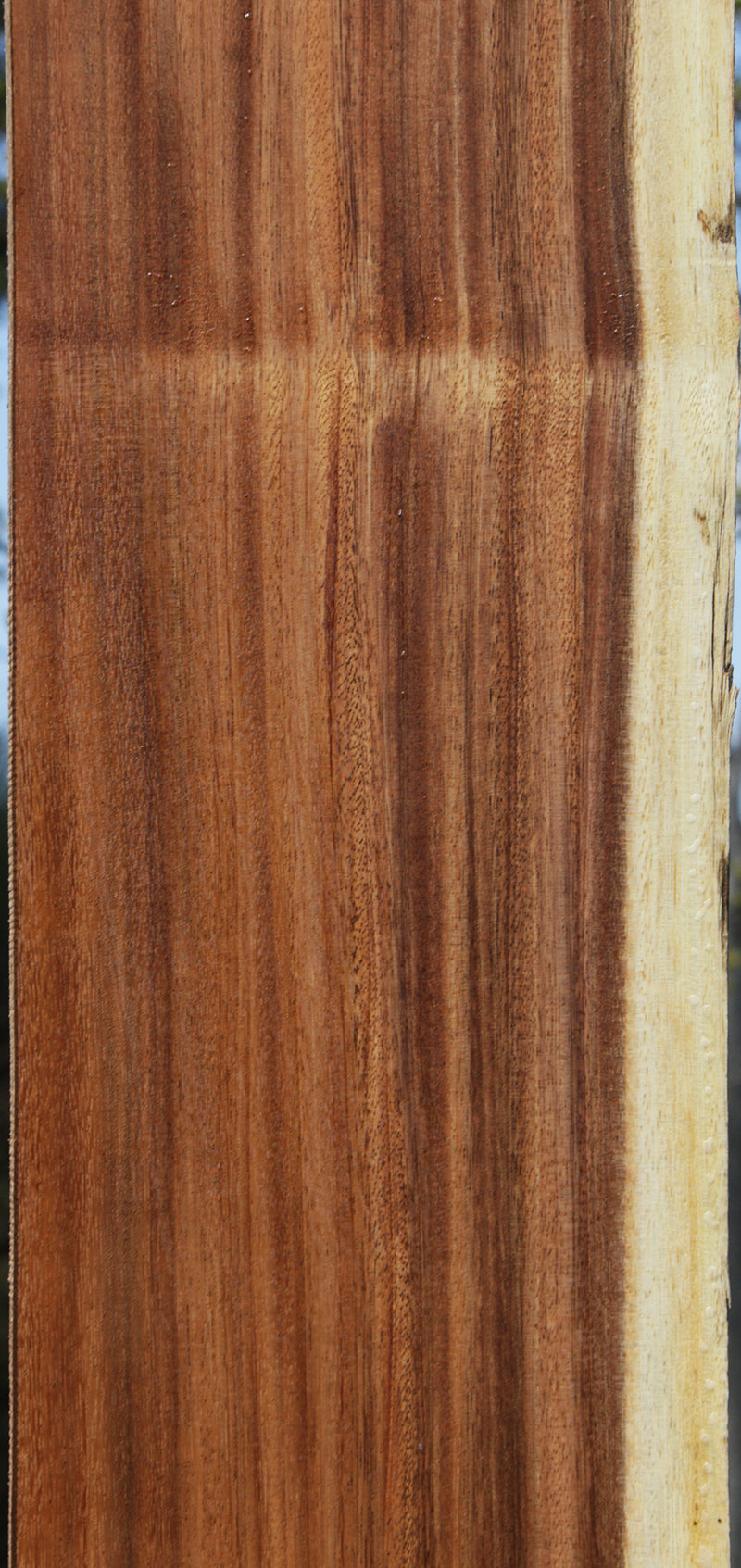 Monkeypod Live Edge Slab