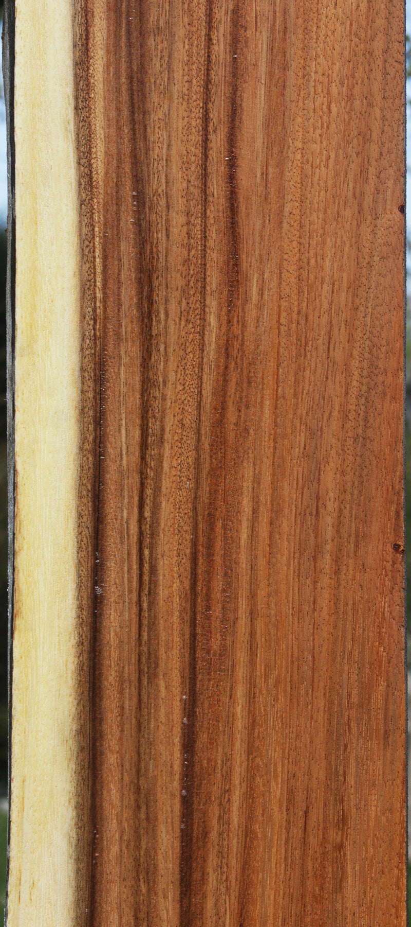 Monkeypod Live Edge Slab