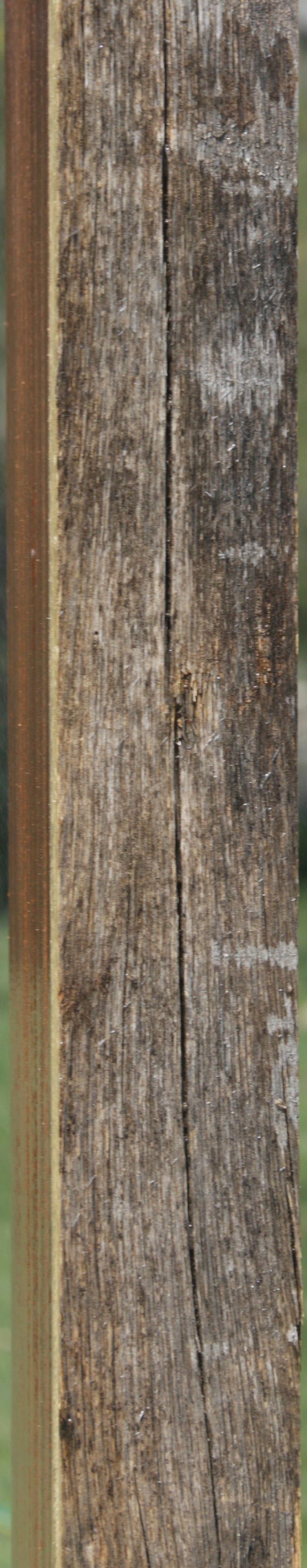 Monkeypod Live Edge Slab