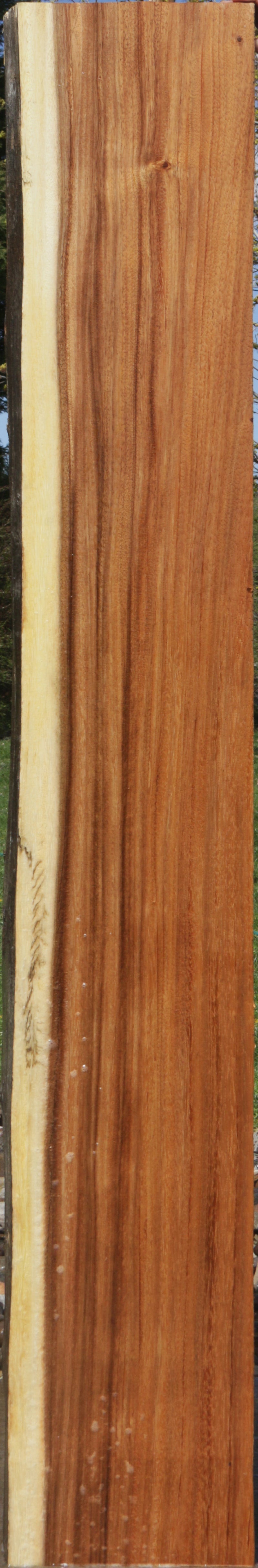 Monkeypod Live Edge Slab