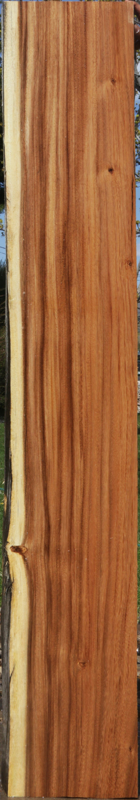 Monkeypod Live Edge Slab