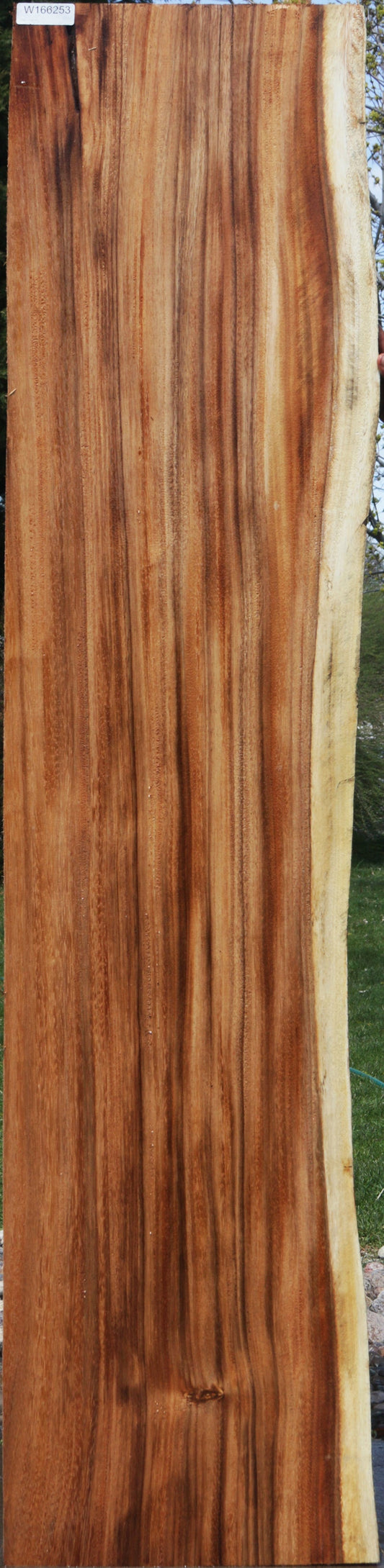 Monkeypod Live Edge Slab