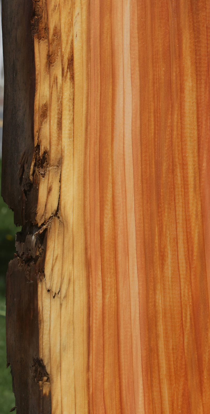 Western Red Cedar Live Edge Lumber