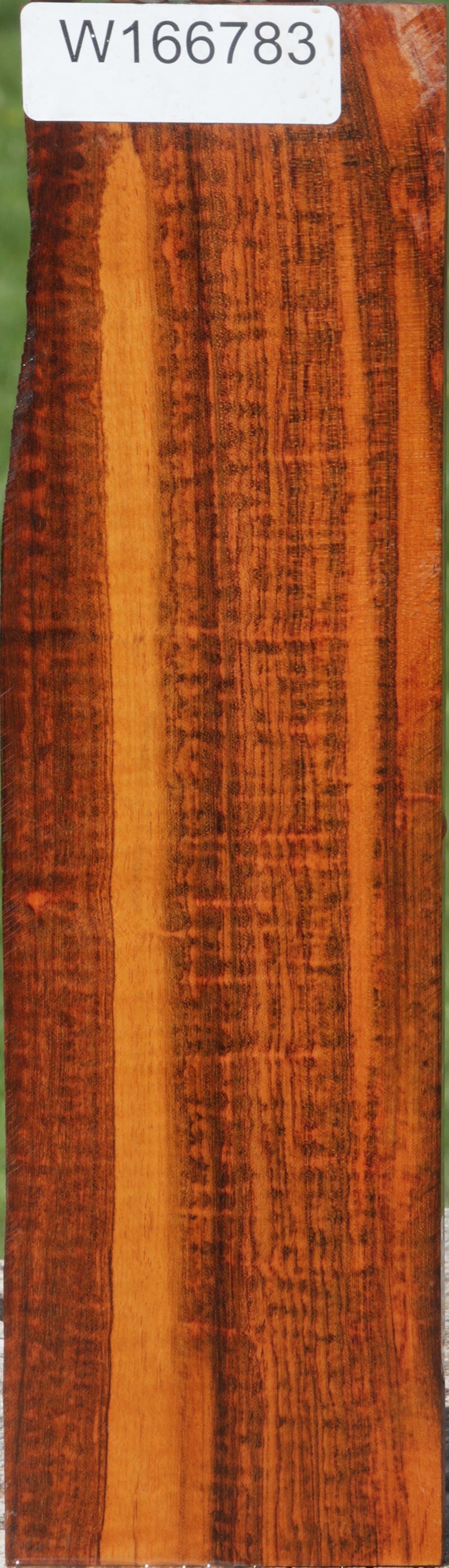 Exhibition Snakewood Live Edge Micro Lumber
