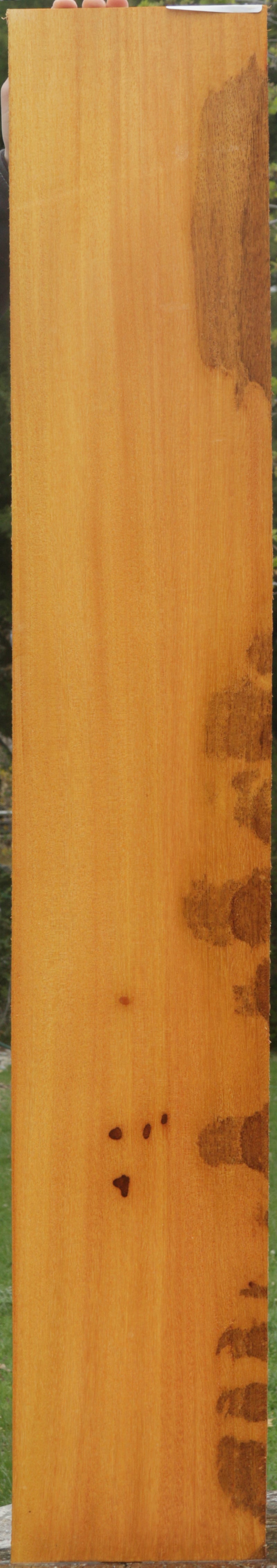 Argentine Osage Orange Lumber