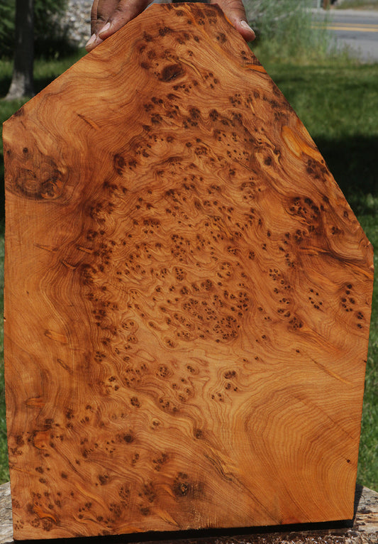 Extra Fancy Thuya Burl Lumber