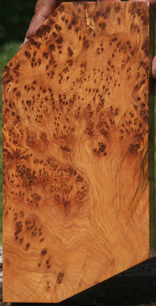 Exhibition Thuya Burl Lumber