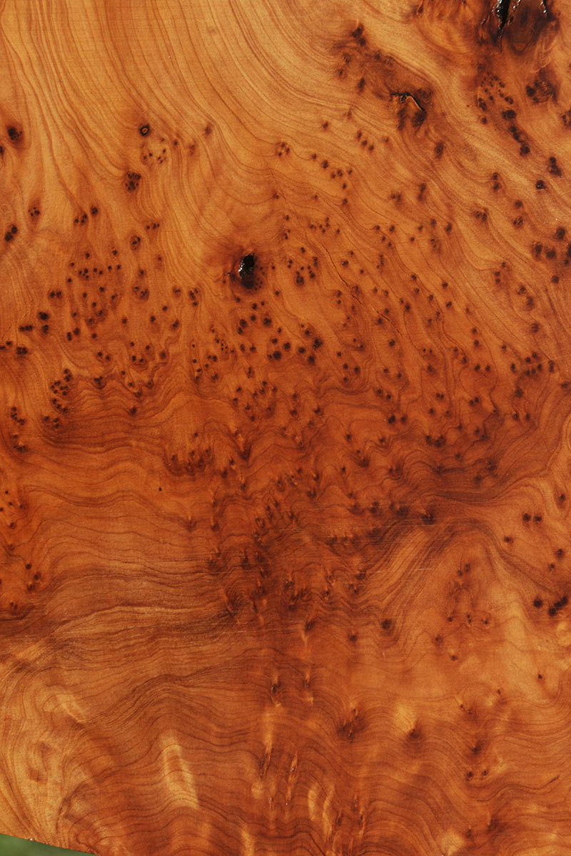 Poplar burl wood ,Woodworking Lumber, (280x160x6mm) ,wood burl (#59)