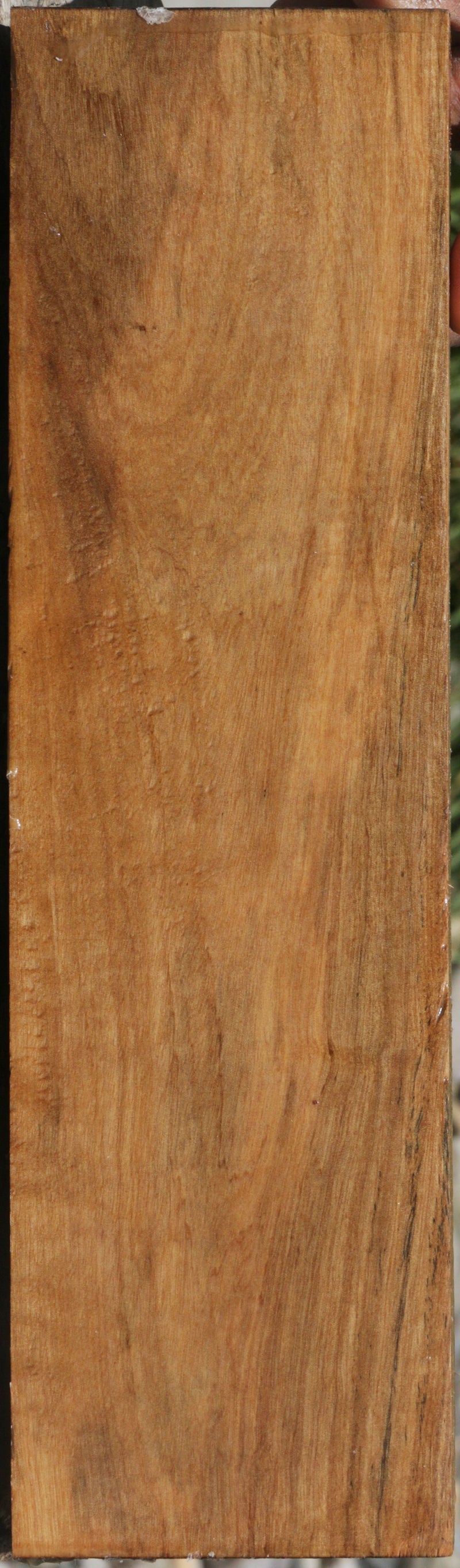 Pyinma Lumber