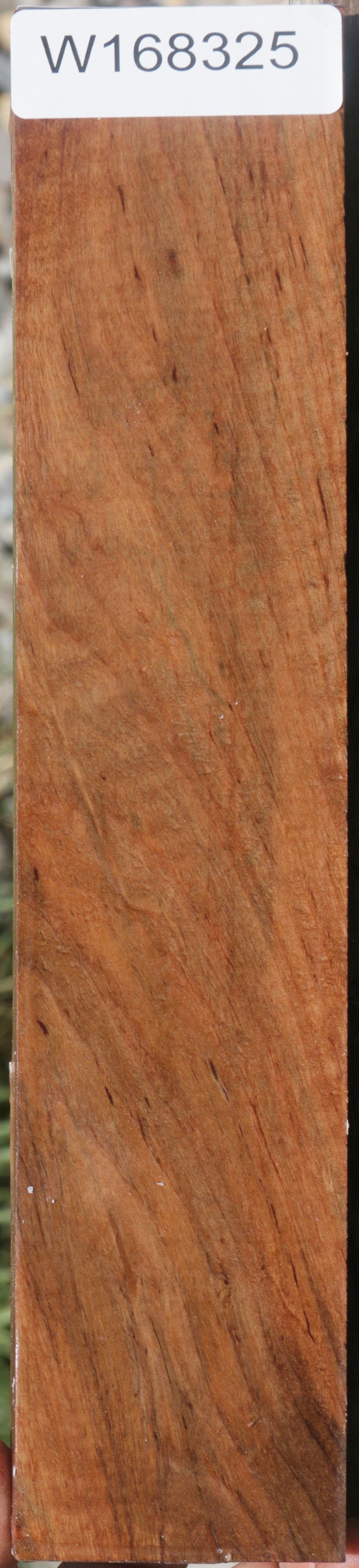 Extra Fancy Curly Pyinma Lumber