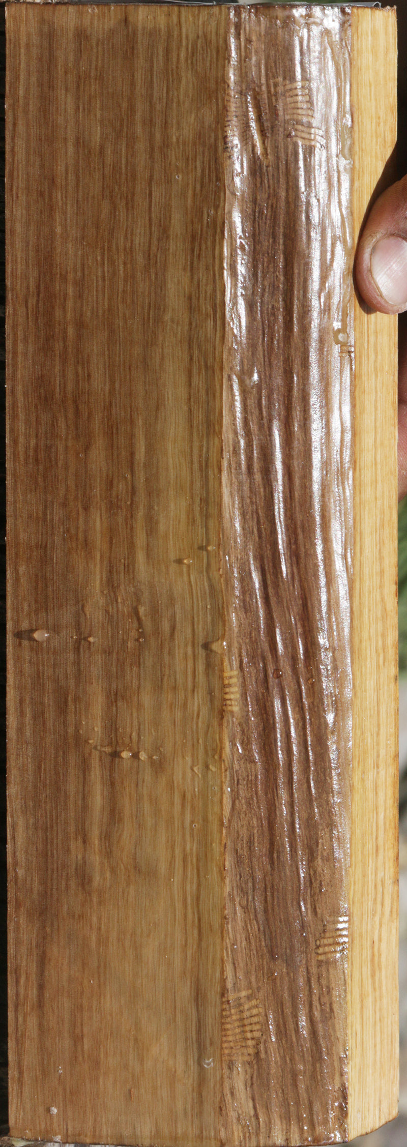 Pyinma Lumber