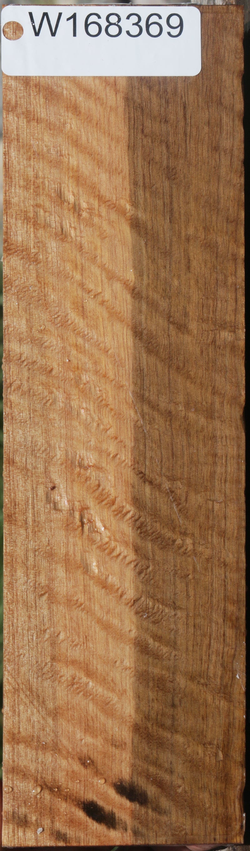 Exhibition Curly Asian Satinwood Lumber