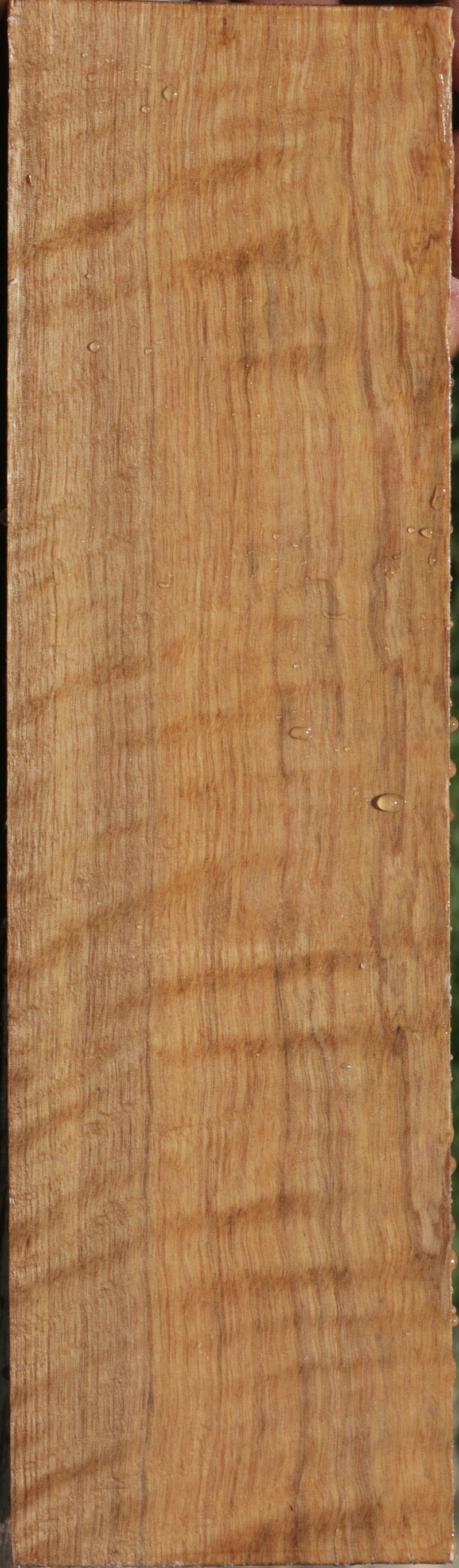 Exhibition Curly Asian Satinwood Lumber