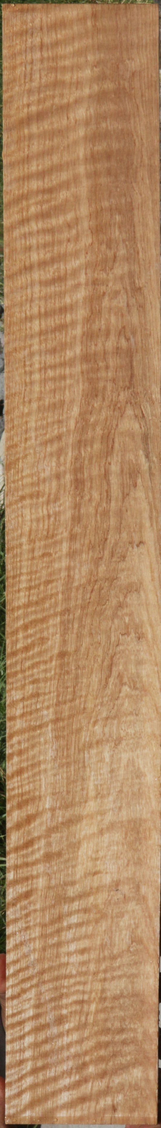Exhibition Curly Asian Satinwood Lumber