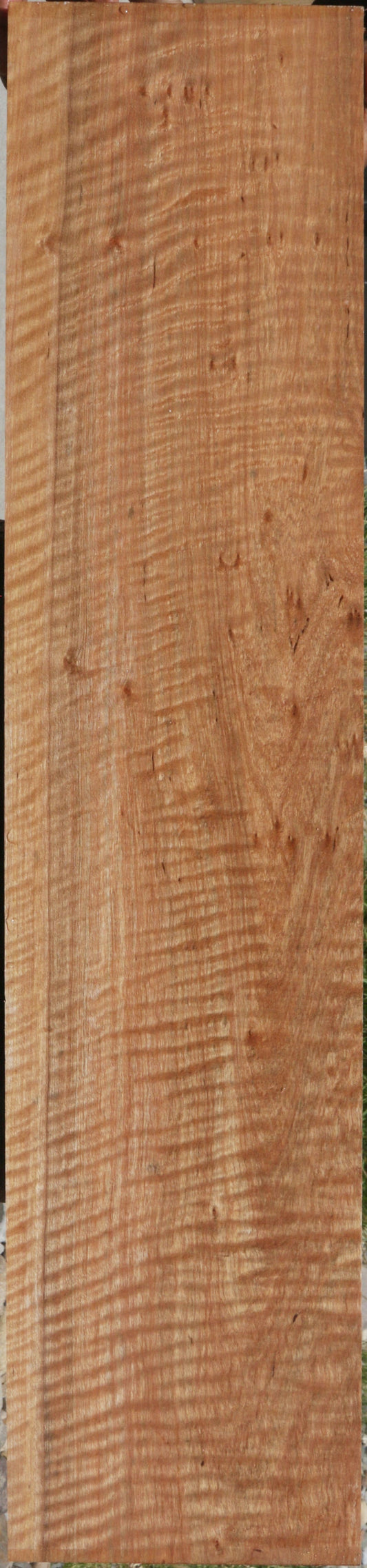 Exhibition Curly Asian Satinwood Lumber
