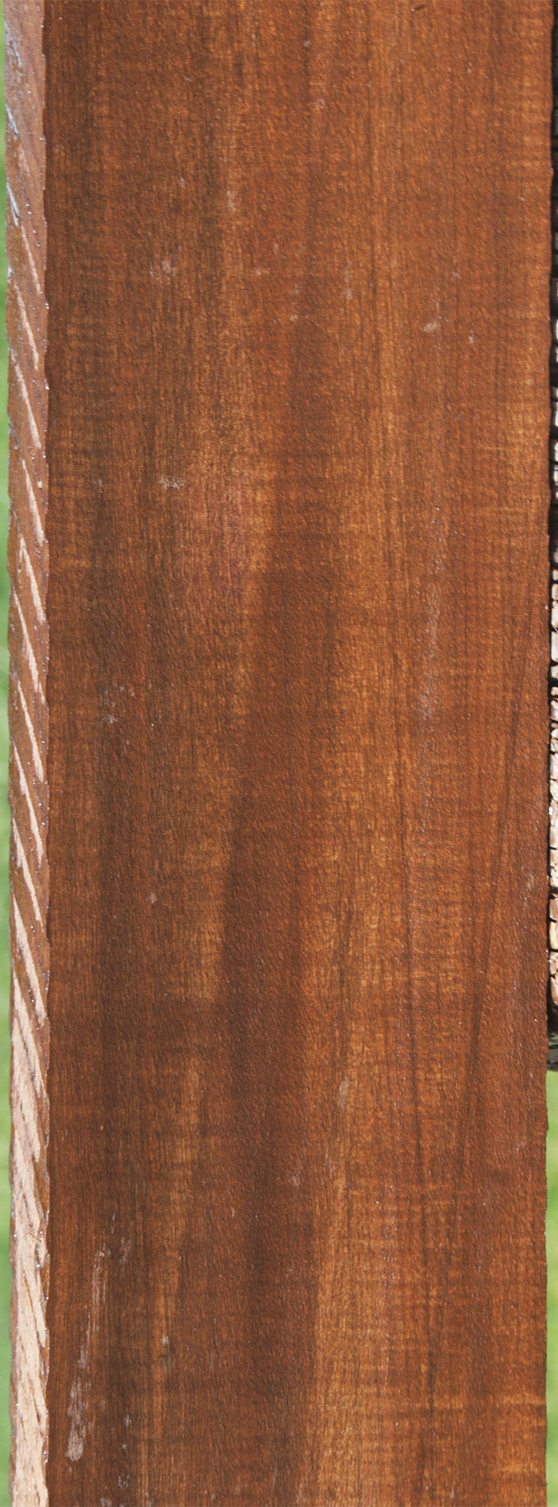 Exhibition Mansonia Lumber