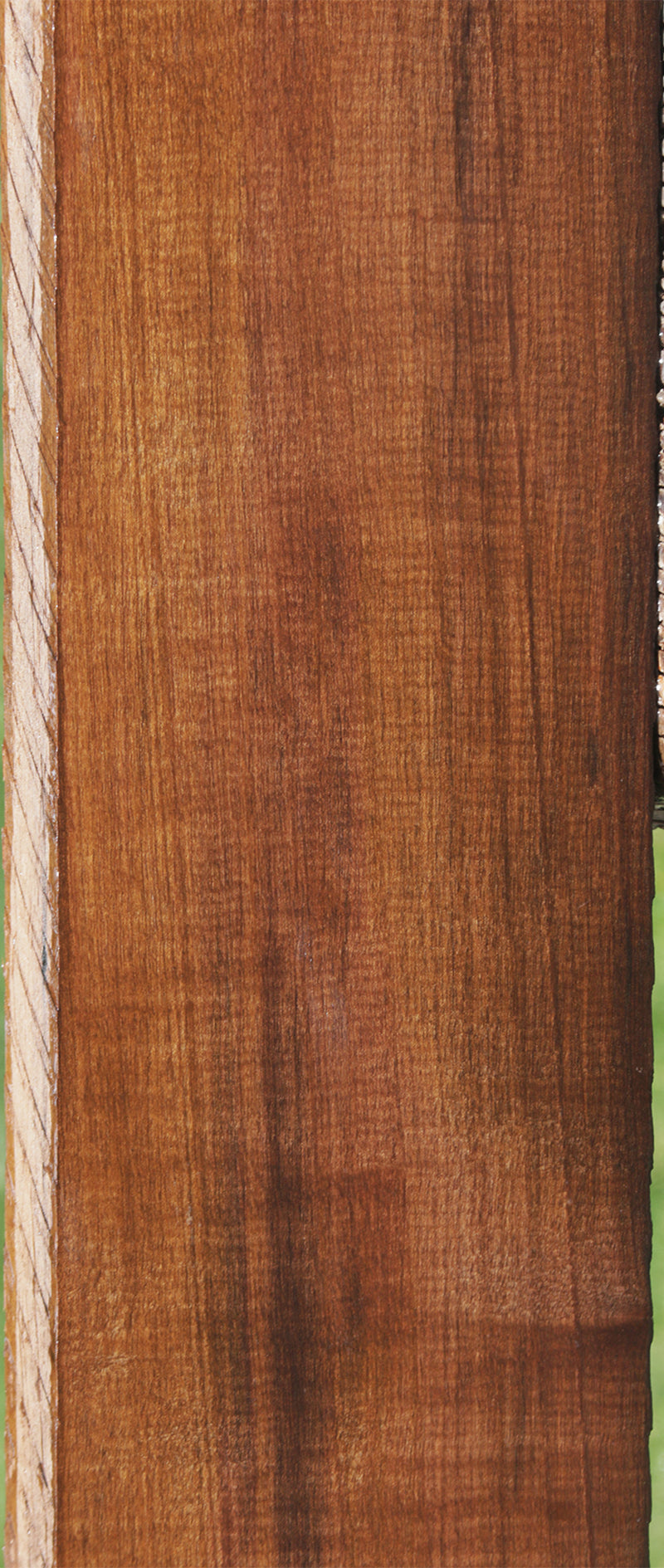Exhibition Fiddleback Mansonia Lumber
