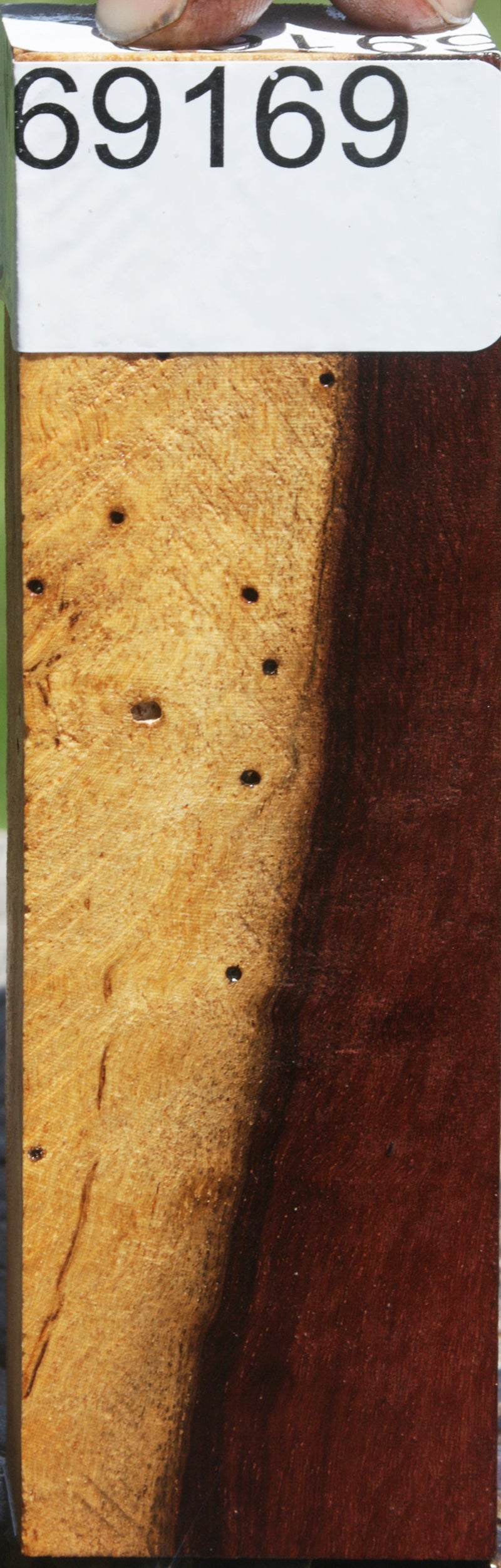 Spalted Figured Honduras Rosewood Knife Blank
