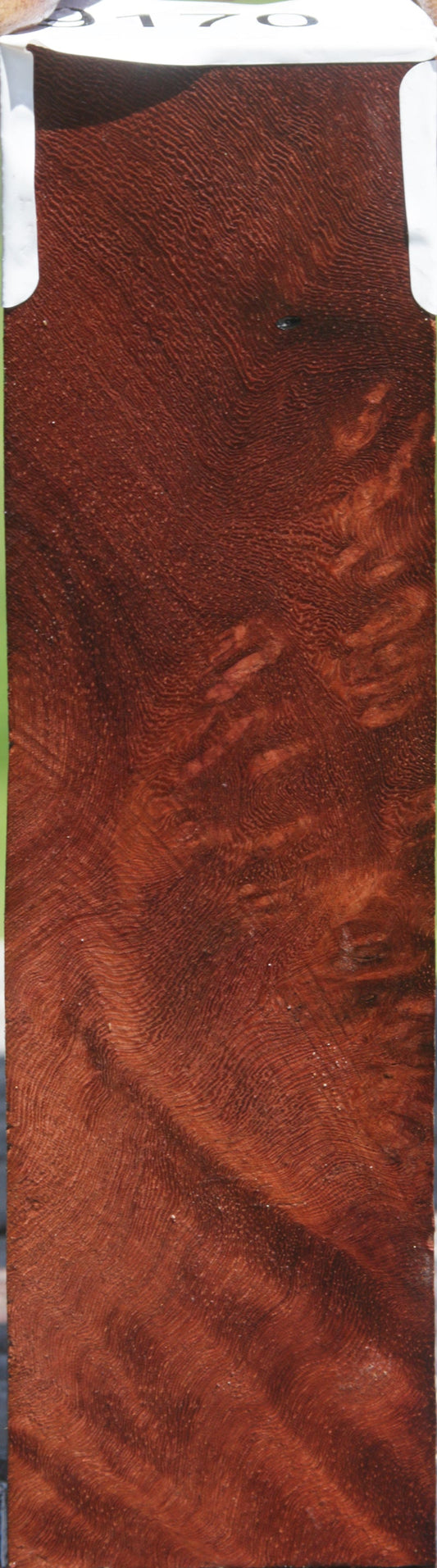 Honduras Rosewood Knife Blank