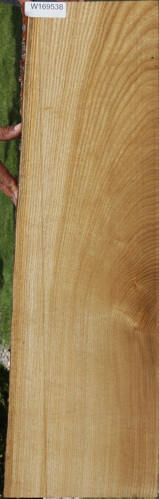 Sassafras Live Edge Lumber