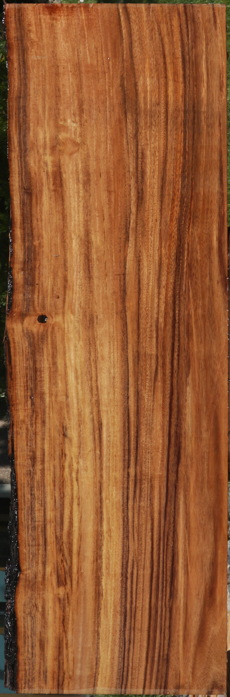 Figured Patagonian Rosewood Live Edge Lumber