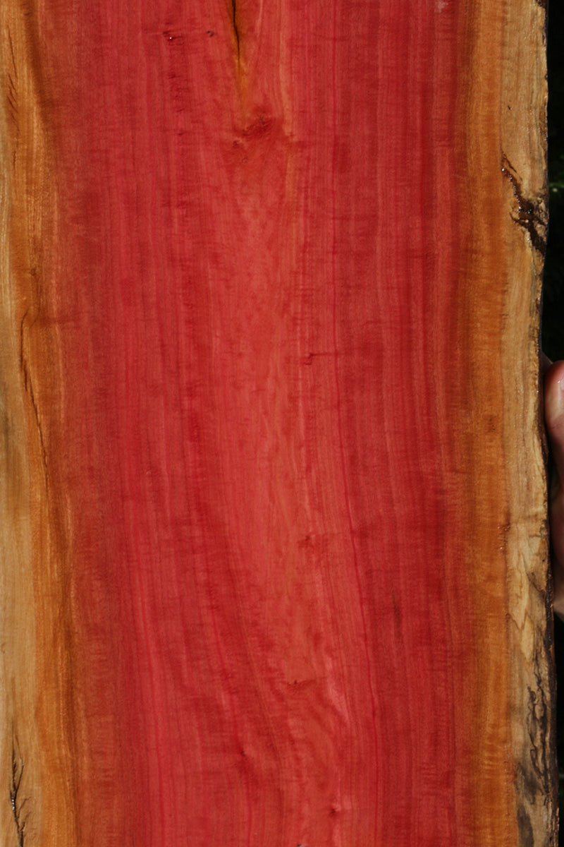 Rustic Pink Ivory Lumber