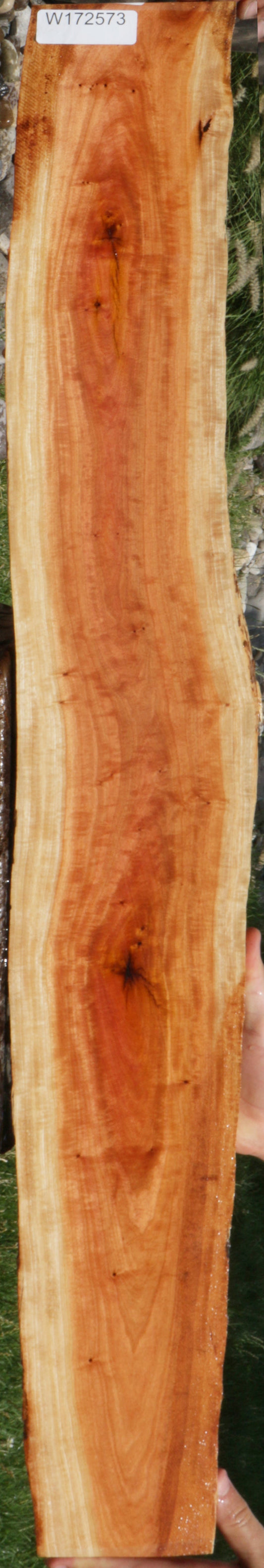 Exhibition Pink Ivory Live Edge Lumber