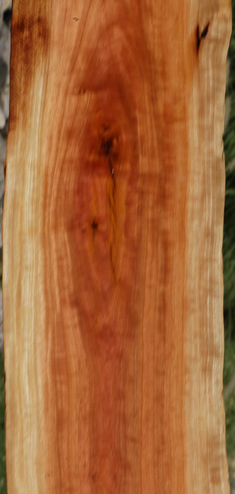 Exhibition Pink Ivory Live Edge Lumber