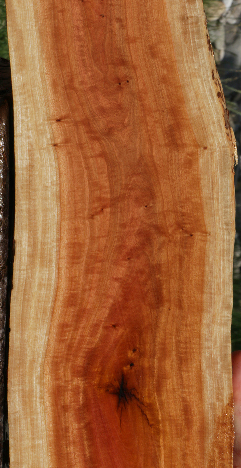 Exhibition Pink Ivory Live Edge Lumber