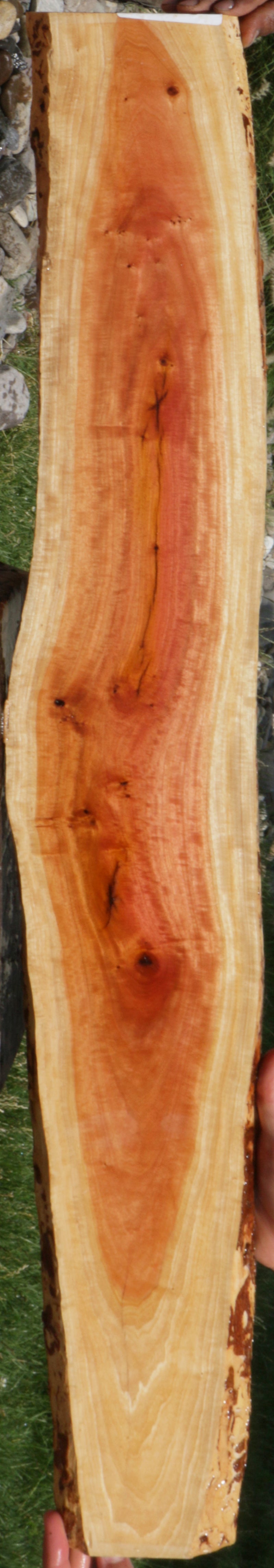 Exhibition Pink Ivory Live Edge Lumber