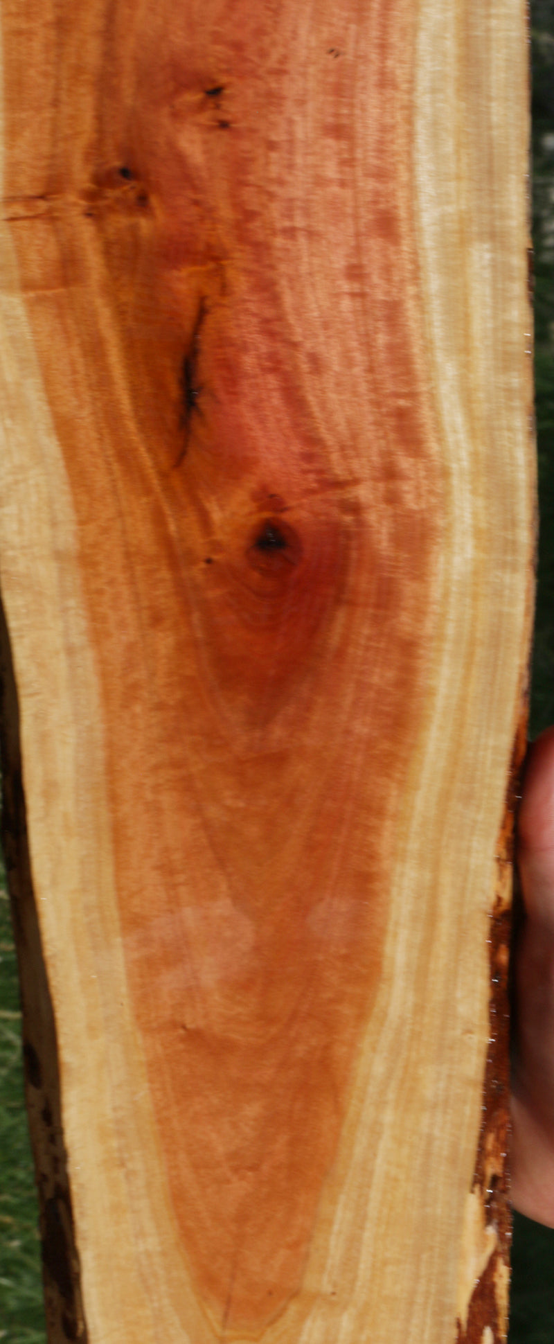 Exhibition Pink Ivory Live Edge Lumber