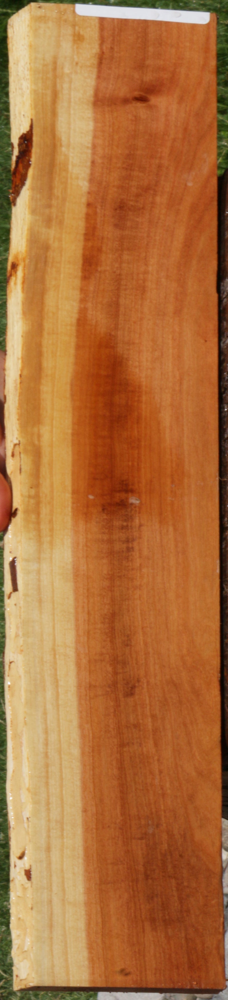 Exhibition Pink Ivory Live Edge Lumber