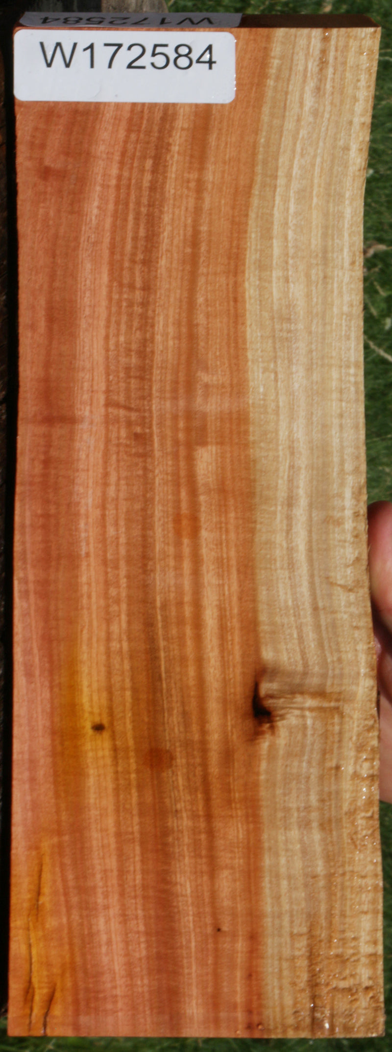 Extra Fancy Pink Ivory Live Edge Lumber