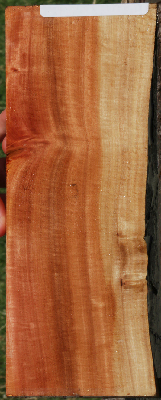 Extra Fancy Pink Ivory Live Edge Lumber