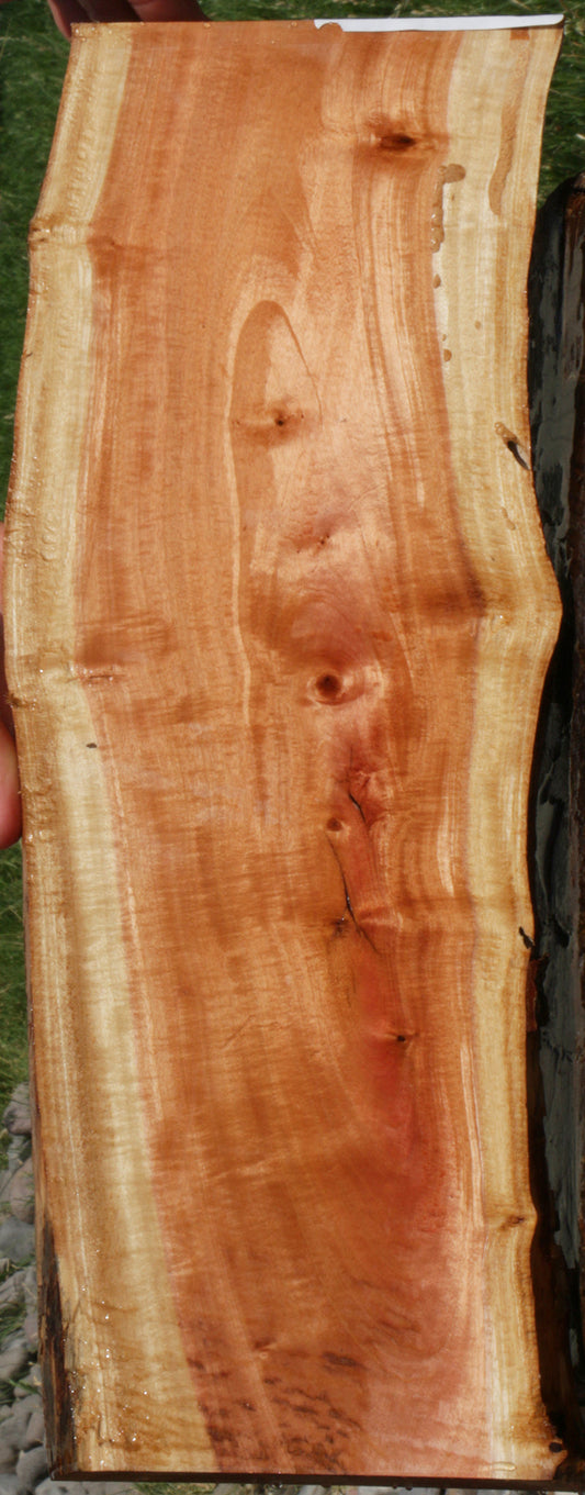 Pink Ivory Lumber