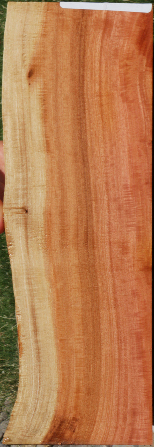 Extra Fancy Pink Ivory Live Edge Lumber