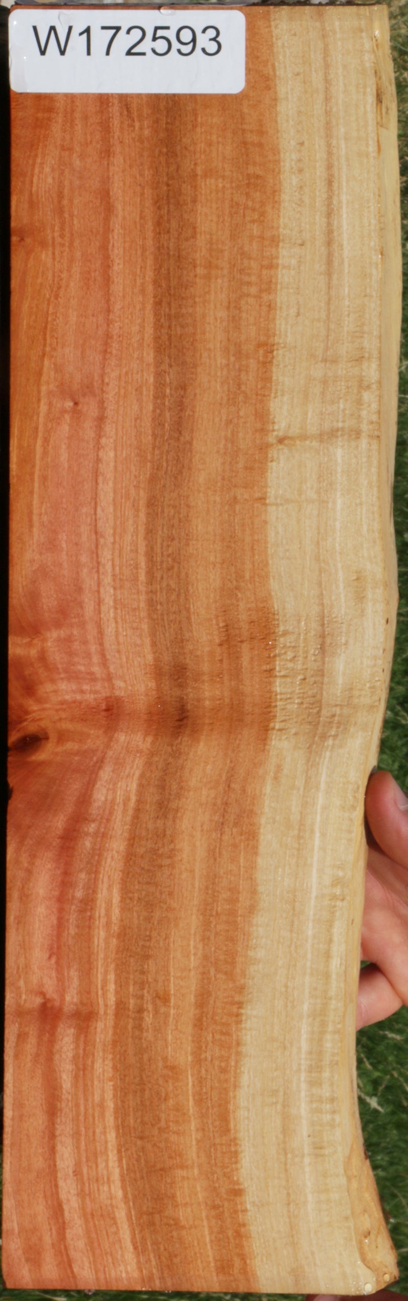Extra Fancy Pink Ivory Live Edge Lumber
