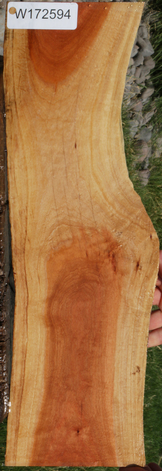 Pink Ivory Live Edge Micro Lumber