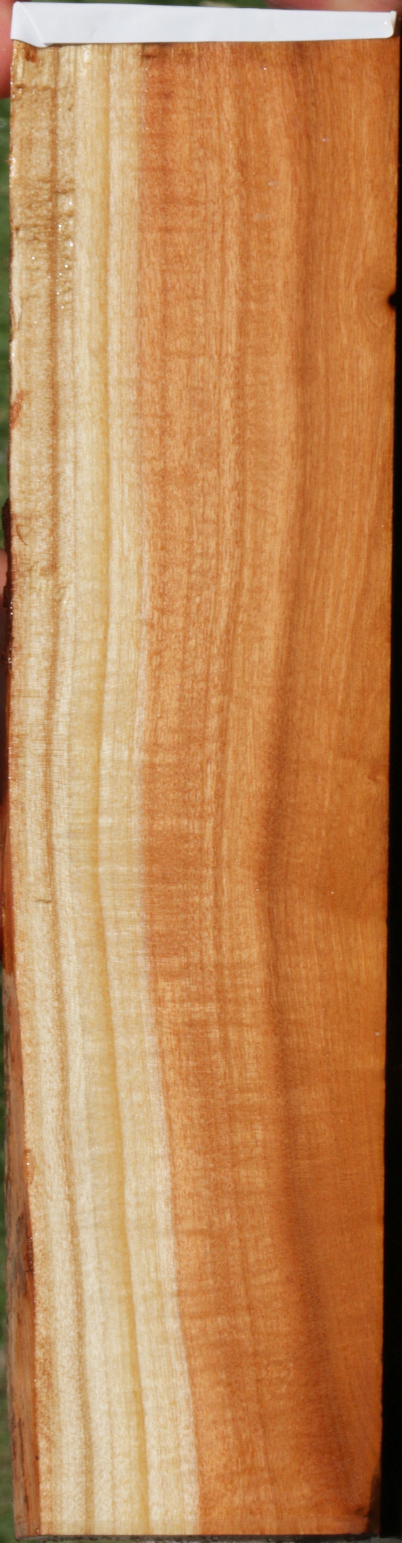 Curly Pink Ivory Live Edge Lumber