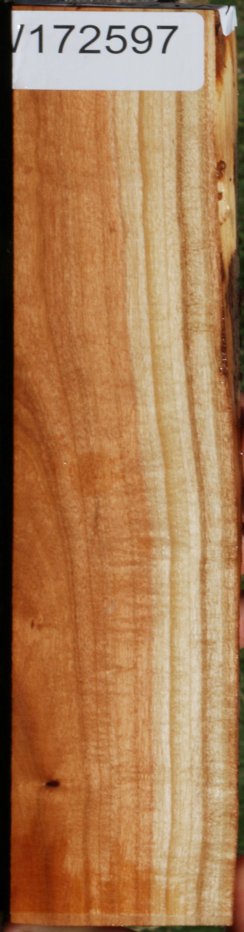 Curly Pink Ivory Live Edge Lumber