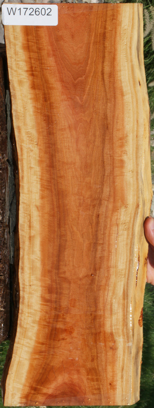 Exhibition Pink Ivory Live Edge Lumber